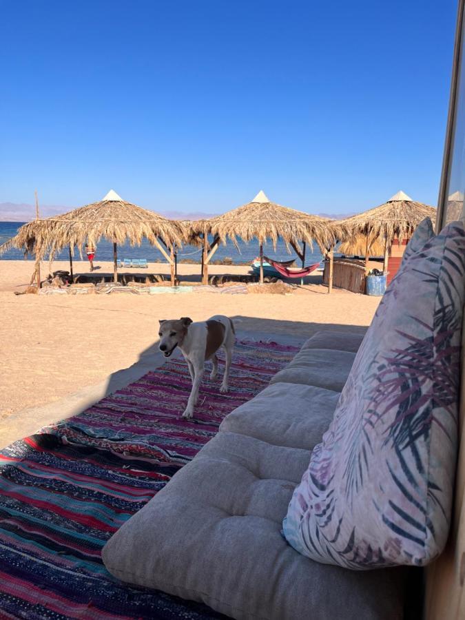 Abdo Caribbean Camp Hotell Nuweiba` Exteriör bild